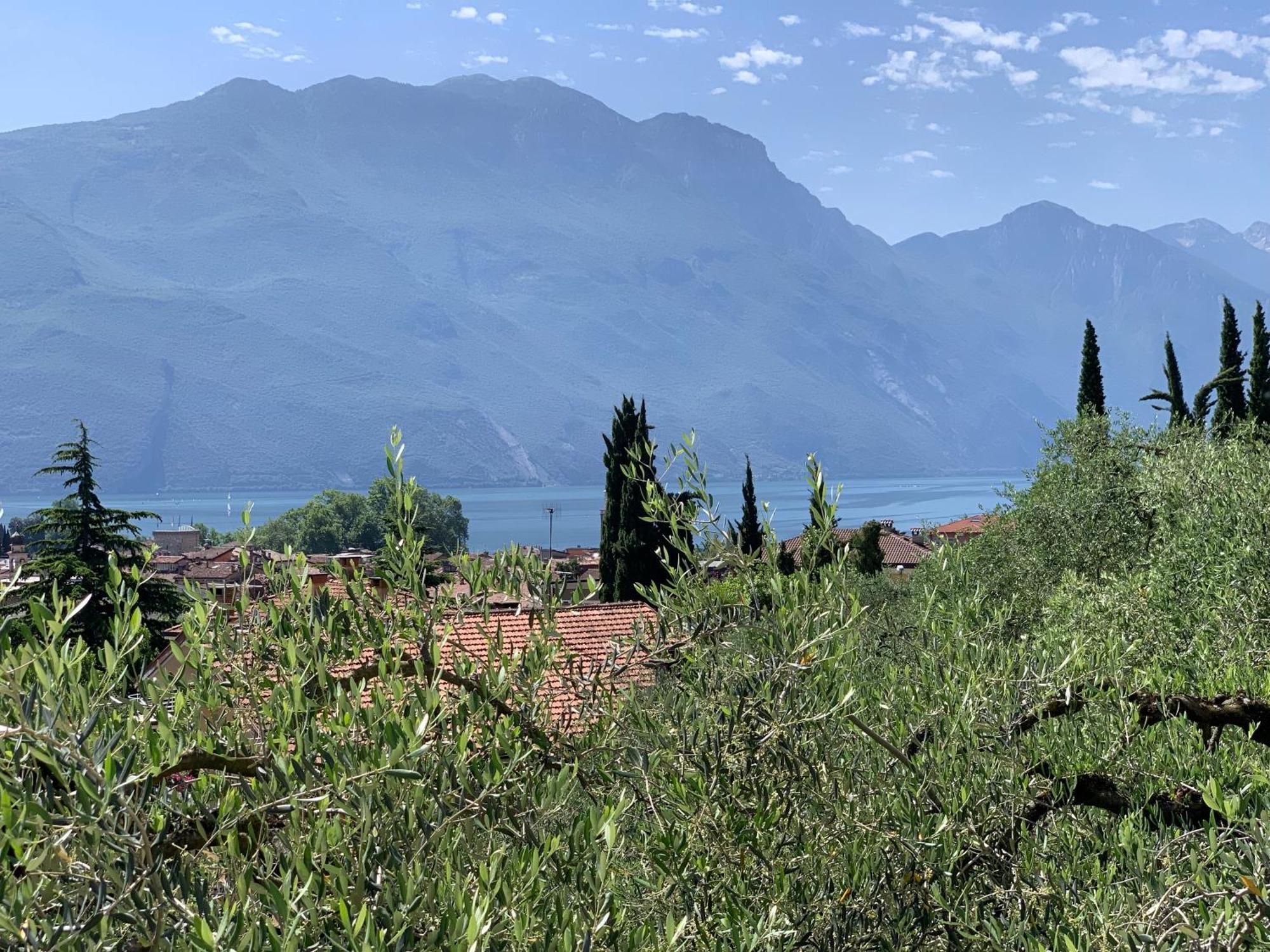 Aparthotel Englovacanze Riva del Garda Buitenkant foto